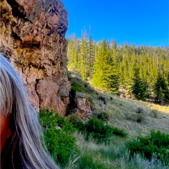 Meet your Posher, Shelley - Picture 1 of 1